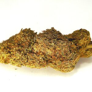 Flores CBD Limoncello | CBD Indoor