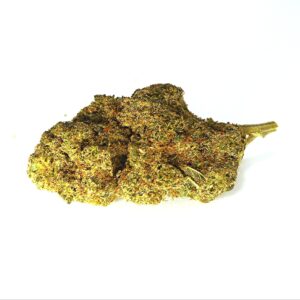 Flores CBD Potter | CBD Indoor